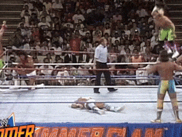 wwe sports wwe wrestling 1989 GIF