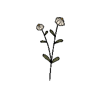 Flower Spring Sticker