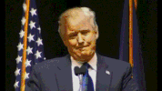trump glitch GIF by weinventyou