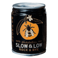 Rock And Roll Summer Sticker by slowandlow
