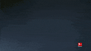 Proud Bayer 04 GIF by Bundesliga