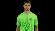 In Love Heart GIF by VfL Wolfsburg