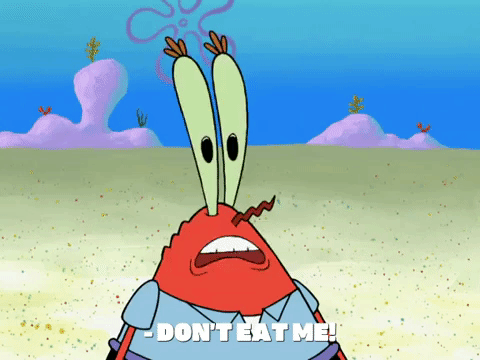 season 8 frozen face-off GIF by SpongeBob SquarePants