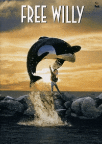 Film Orca GIF