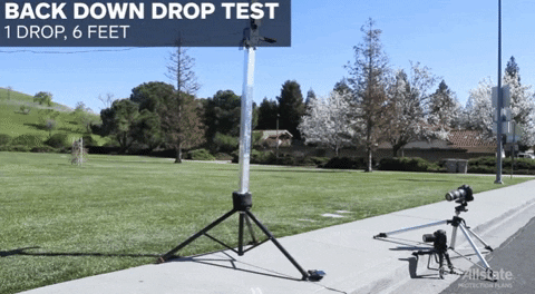 yj_jane giphygifmaker GIF