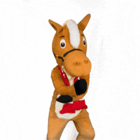 LevangerFotballklubb obos lfk obos-ligaen levanger GIF