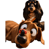 Pattyevenere Sbadabadam Coccinella Ladybug Minidoxie Sticker