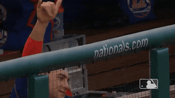 Happy Ny Mets GIF by New York Mets