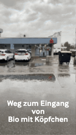 juliaseifried giphygifmaker workshop bio mit köpfchen GIF