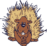 hedgehog STICKER