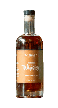 Clifton Hill Cheers Sticker by I love Niagara Falls