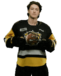 BrantfordBulldogs hockey bulldogs ohl brantford Sticker