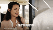 Council Of Dads GIF by NBC