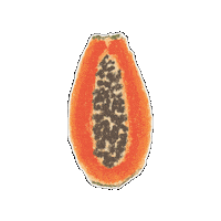 Litseaardyna papaya justlitsea Sticker