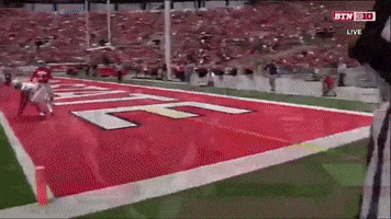 touchdown ohio state buckeyes michigan football ohio state football GIF