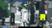 Regular Season Football GIF by NFL