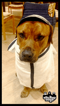 Dog Please GIF by Stick Up Music