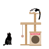 Cat Sticker by Fressnapf