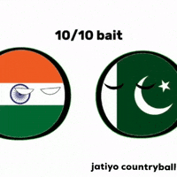 India Pakistan GIF