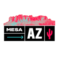 Concert Arizona Sticker by TikTok