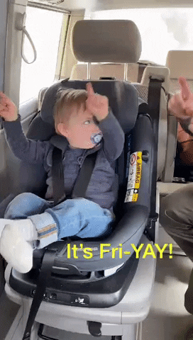 machatcherniaeff giphyupload GIF