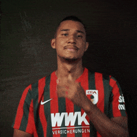 Football Bundesliga GIF by FC Augsburg 1907