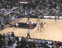 chicago bulls GIF