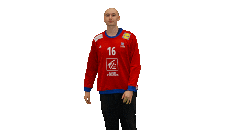 Ffhandball Sticker by Fédération Française de Handball