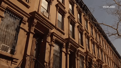 new york city GIF by MY HOUSE