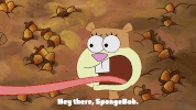 season 9 episode 23 GIF by SpongeBob SquarePants
