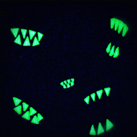 halloween glow GIF by Erica Anderson