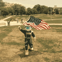 utoledo rocky fourthofjuly americanflag utoledo GIF