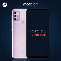Hellomoto GIF by Motorola México