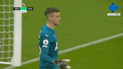 Save Premier League GIF by MolaTV
