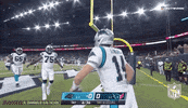 Carolina Panthers Football GIF by NFL