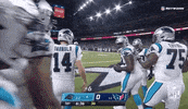 Carolina Panthers Football GIF by NFL