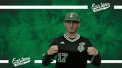 Emueagles Emubaseball GIF by EMU Athletics