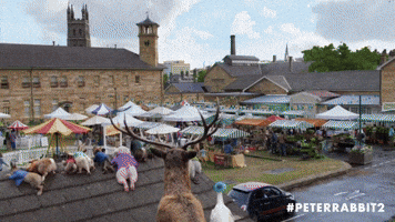 Farmers Market Robbery