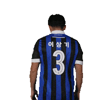 Football Fighting Sticker by Incheon United FC