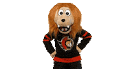 Ice Hockey Sport Sticker by NHL