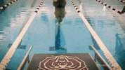 School College GIF by Missouri State University