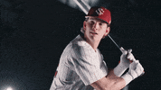 South Carolina Baseball GIF by gamecocksonline