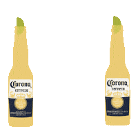 CoronaArgentina party summer beer cheers Sticker