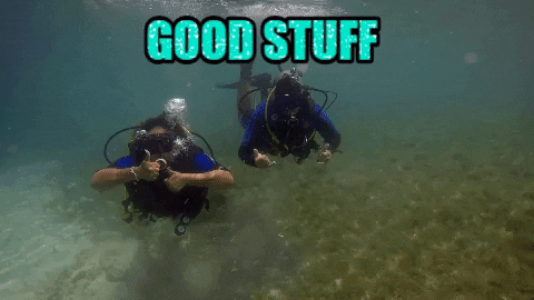 destinationgoodstuff giphygifmaker travel vacation paradise GIF