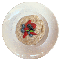 Gluten Free Breakfast Sticker by Major Food Group