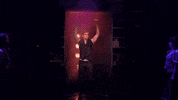 David Noel Comedy GIF by segalcentre
