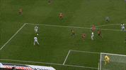 les gones ol GIF by Olympique Lyonnais