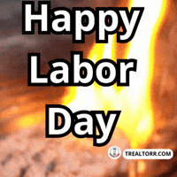 Real Estate Home GIF by Trealtorr