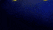 Wags Nmu GIF by New Mexico United