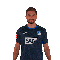 Sport Bundesliga Sticker by TSG Hoffenheim